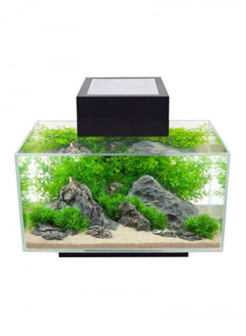 Edge Aquarium