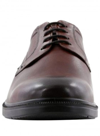 Lisbon Lace Up Formal Brown