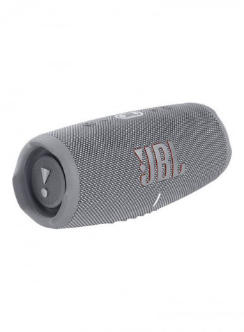 Charge5 Portable Wireless Speaker 6925281982118 Gray