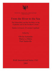 From The River To The Sea Paperback