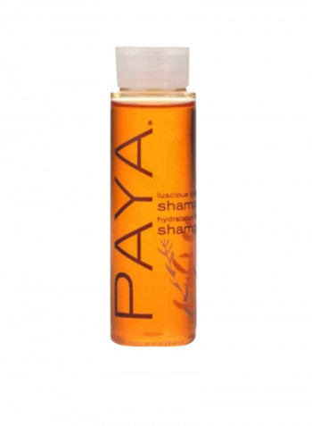 Shampoo With Conditioner 1ounce