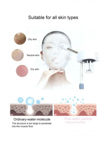 Mini Facial Steamer White/Silver
