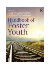 Handbook Of Foster Youth Paperback English