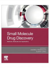 Small Molecule Drug Discovery Paperback 1st Edition