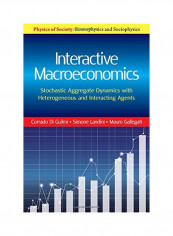 Interactive Macroeconomics: Stochastic Aggregate Dynamics With Heterogeneous And Interacting Agents Hardcover