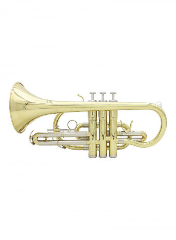 Professional Bb Flat Cornet Brass Instrument with Carrying Case Gloves Cleaning Cloth  Brushes
