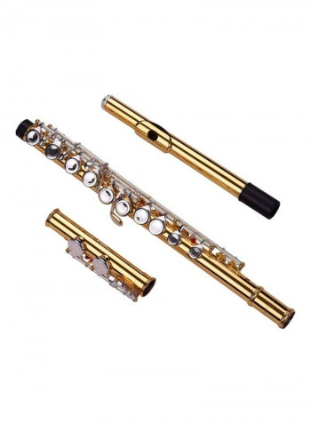 Professional Closed Hole C Flute
