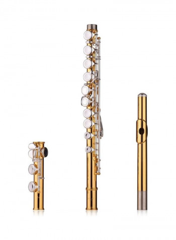 Professional Closed Hole C Flute
