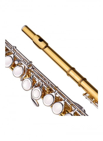 Professional Closed Hole C Flute