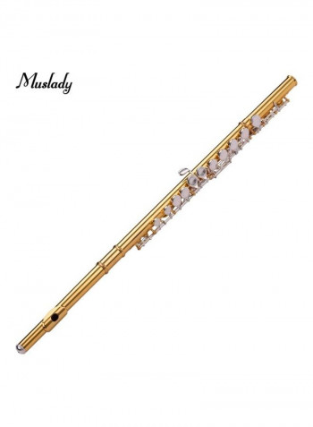 Professional Closed Hole C Flute