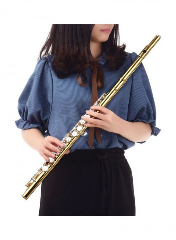Professional Closed Hole C Flute