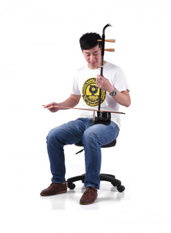 2-String Violin Fiddle Stringed Musical Instrument Set