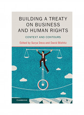 Building A Treaty On Business And Human Rights: Context And Contours Hardcover