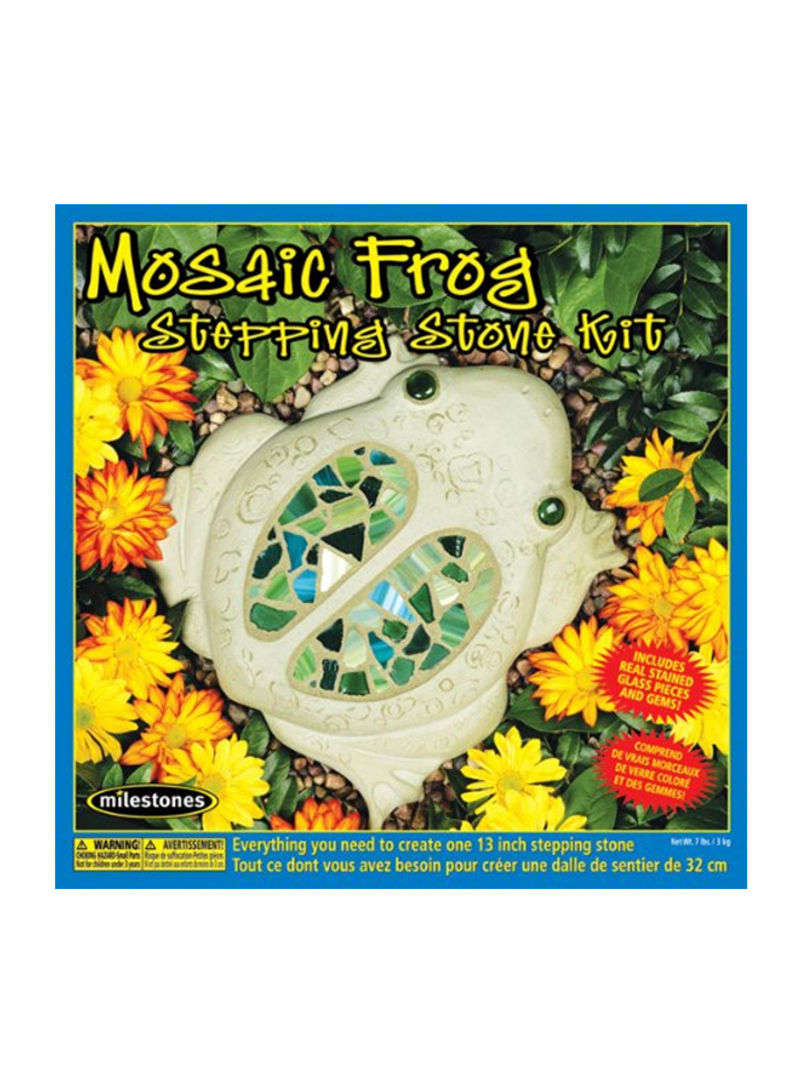 Frog Stepping Stone Kit Multicolour