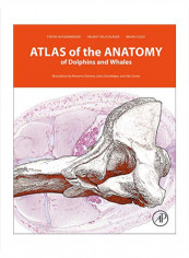 Atlas Of The Anatomy Of Dolphins And Whales Hardcover 1