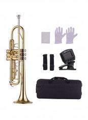 Standard Brass Trumpet With Accessories Set reviews Standard Brass Trumpet With Accessories Set