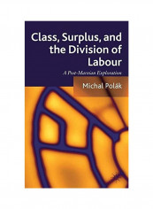 Class, Surplus, And The Division Of Labour: A Post-Marxian Exploration Paperback