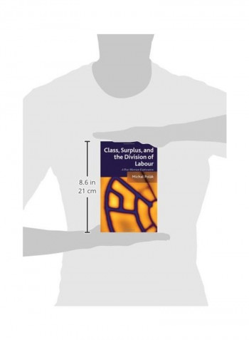 Class, Surplus, And The Division Of Labour: A Post-Marxian Exploration Paperback