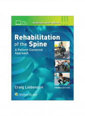 Rehabilitation Of The Spine: A Patient-Centered Approach Hardcover 3