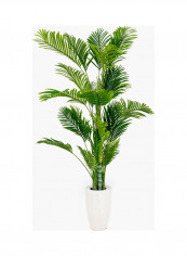 Hawaiian Palm Tree Green/White reviews Hawaiian Palm Tree Green/White