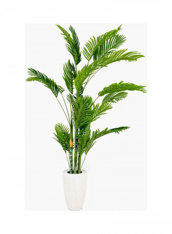 Hawaiian Palm Tree Green/White