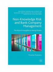 Non-Knowledge Risk And Bank-Company Management Hardcover