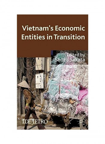 Vietnam's Economic Entities In Transition Hardcover