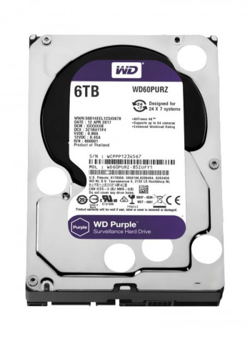 Internal Hard Drive 6TB Silver/Purple