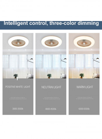 BT Connection Ceiling Fan LED Lights With Remote Control Brown
