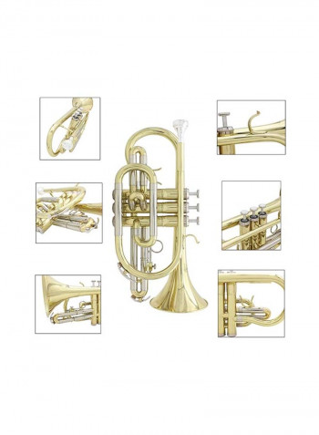 Professional BB Flat Cornet Brass Instrument