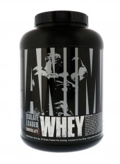 Chocolate Flavour Animal Isolate Loaded Whey Protein