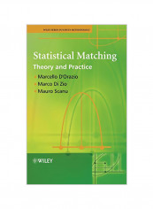 Statistical Matching: Theory and Practice Hardcover