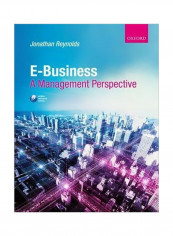 E-business : A Management Perspective Paperback