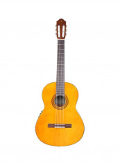 Classical Electro Acoustic Guitar
