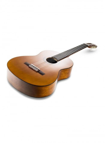 Classical Electro Acoustic Guitar