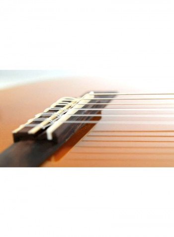 Classical Electro Acoustic Guitar