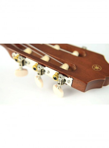 Classical Electro Acoustic Guitar