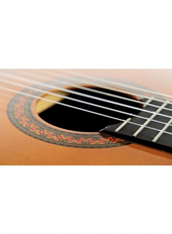 Classical Electro Acoustic Guitar