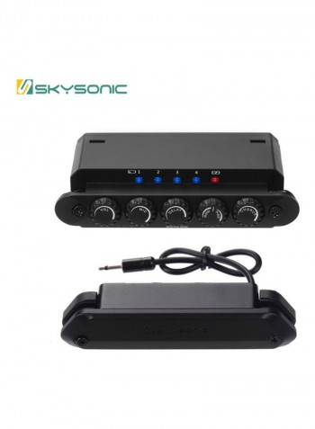 R2 Acoustic Guitar Resonance Pickup with Magnetic Volume
