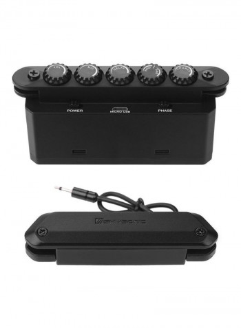 R2 Acoustic Guitar Resonance Pickup with Magnetic Volume