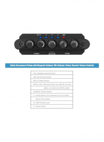 R2 Acoustic Guitar Resonance Pickup with Magnetic Volume