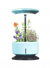 DeskGarden Hydroponic Grow System With LED Light Blue/Black reviews DeskGarden Hydroponic Grow System With LED Light Blue/Black