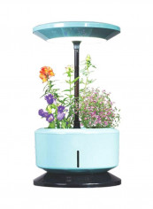 DeskGarden Hydroponic Grow System With LED Light Blue/Black reviews DeskGarden Hydroponic Grow System With LED Light Blue/Black