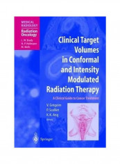 Clinical Target Volumes In Conformal And Intensity Modulated Radiation Therapy: A Clinical Guide To Cancer Treatment Hardcover English by L.W. Brady