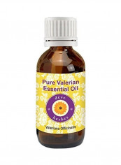 Pure Valerian Essential Oil 30ml reviews Pure Valerian Essential Oil 30ml