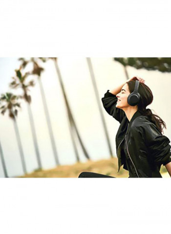 WH-XB900N Extra Bass Bluetooth Over-Ear Headphones With Mic Black