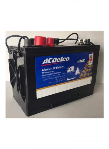 Automotive Battery