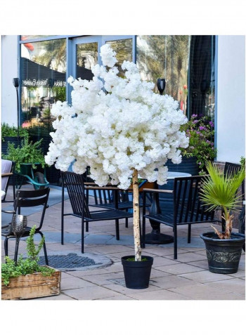 Artificial Cherry Blossom Tree White 210cm