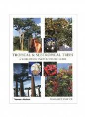 Tropical And Subtropical Trees : A Worldwide Encyclopaedic Guide Hardcover