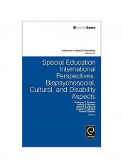 Special Education International Perspectives: Biopsychosocial, Cultural, And Disability Aspects Hardcover Anthony F. Rotatori